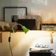 Рабочая лампа на прищепке Inspire цвет зеленый