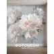 Фотообои флизелиновые Postermarket 300x270 см Фотообои WM-735V1/300*270 4630124117542