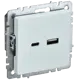 Розетка USB встраиваемая Iek Brite BR-U22-018-K36 цвет жемчужный