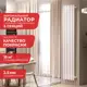 Радиатор Arbiola Compact H 1800-63 06 секций белый вертикальный c боковым подключением