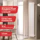 Радиатор Arbiola Compact H 1750-63 06 секций белый вертикальный c боковым подключением