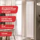 Радиатор Arbiola Compact V 1750-63 08 секций белый вертикальный c нижним подключением