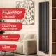 Радиатор Arbiola Liner V 1800-36 06 секций черный вертикальный c нижним подключением