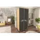 Шкаф распашной Furnistyle Лютер Ш-01 с 2 дверями 90.2x204.5x50.5 см ЛДСП цвет дуб крафт золотой/антрацит