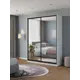 Шкаф-купе Клевер Атина с 2 дверями 240x170х58 см 6 полок ЛДСП цвет белый/лофт зеркальный