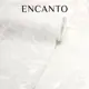 Обои флизелиновые Flizelini Encanto 1.06м цвет цветы на белой штукатурке