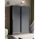 Шкаф-купе Homegrad Orion с 2 дверями 220x150х62 см 2 полки ЛДСП цвет графит