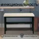 Обувь Тера 76x49x30 см 2 полки сталь цвет черный/бежевый ПСК-41-02ч.беж