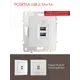 Розетка USB встраиваемая Arte milano 206.46-1.silver цвет серебро