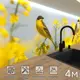 Стеновая панель Фартукофф ФФ - 413 400x60x0.1 см ПВХ цвет разноцветный