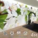 Стеновая панель Фартукофф ФФ - 428 400x60x0.1 см ПВХ цвет разноцветный