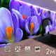 Стеновая панель матовая Фартукофф ФФ - 227 200x60x0.15 см ПВХ цвет фиолетовый