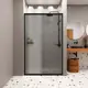Душевая дверь Domani-spa DS04DCb120L0T00.Gt-Black 120см эффект стекла тонированный раздвижной