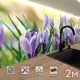 Стеновая панель матовая Фартукофф ФФ - 298 200x60x0.1 см ПВХ цвет разноцветный