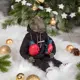 Коллекционная кукла Bogacho Динозавр Дино ручная работа
