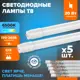Набор ламп линейных светодиодных WOLTA 25WT8-20G13 Т8 G13 20 Вт холодный белый свет 5 шт