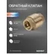 Обратный клапан пружинный Sanext 8531 DN20 PN25 3/4" ВР латунь
