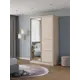 Шкаф-купе Клевер Атина с 2 дверями и зеркалом 240x110х45 см 6 полок ЛДСП цвет шамони светлый