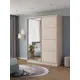 Шкаф-купе Клевер Атина с 2 дверями и зеркалом 240x180х45 см 6 полок ЛДСП цвет шамони светлый