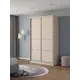 Шкаф-купе Клевер Атина с 2 дверями 240x110х65 см 6 полок ЛДСП цвет шамони светлый
