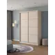 Шкаф-купе Клевер Атина с 2 дверями 240x160х58 см 6 полок ЛДСП цвет шамони светлый
