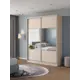 Шкаф-купе Клевер Атина с 2 дверями 240x190х58 см 6 полок ЛДСП цвет шамони светлый комбинированный