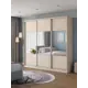 Шкаф-купе Клевер Атина с 3 дверями 240x240х45 см 9 полок ЛДСП цвет шамони светлый комбинированный
