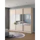 Шкаф-купе Клевер Атина с 3 дверями 240x270х50 см 9 полок ЛДСП цвет шамони светлый комбинированный