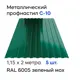 Профнастил металлический Ижторгметалл С10 2x1.15м 0.5мм цвет зеленый мох 5шт