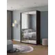 Шкаф-купе Клевер Атина с 2 дверями 240x120х45 см 6 полок ЛДСП цвет венге зеркальный