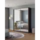 Шкаф-купе Клевер Атина с 2 дверями 240x170х50 см 6 полок ЛДСП цвет венге зеркальный