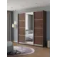 Шкаф-купе Клевер Атина с 3 дверями и зеркалом 240x210х45 см 9 полок ЛДСП цвет шамони темный