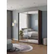 Шкаф-купе Клевер Атина с 2 дверями 240x170х45 см 6 полок ЛДСП цвет шамони темный зеркальный