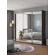 Шкаф-купе Клевер Атина с 3 дверями 240x230х45 см 9 полок ЛДСП цвет шамони темный зеркальный