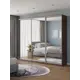 Шкаф-купе Клевер Атина с 3 дверями 240x260х50 см 9 полок ЛДСП цвет шамони темный зеркальный