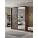 Шкаф-купе Клевер Атина с 2 дверями и зеркалом 240x190х50 см 6 полок ЛДСП цвет дуб крафт табак/бетон темный