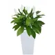 Искусственное растение Спатифиллум Фитопарк в белом кашпо 95 см