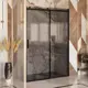 Душевая дверь Ambassador 19022204HBB 150см эффект стекла тонированный раздвижной