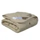 Одеяло Goldtex hometextile GOLDEN CAMEL (тик) 220x200 см верблюжья шерсть