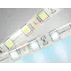 Светодиодная лента Ambrella light Gs2103 60 диод/м 14.4 Вт/м 12 В IP65 5 м холодный белый (голубой) свет