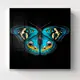 Картина без обрамления Postermarket "Бабочка II" 40x40 см