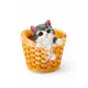 Кашпо Хорошие Сувениры Котенок в круглой корзине 3374689 20x18 см 4 л