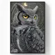 Картина в раме Postermarket Сова 60х90 см