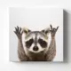 Картина на холсте Postermarket "Енот" 30x30 см
