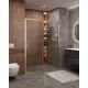 Душевая дверь Cezares Molveno-BF-1-160-C-BORO-IV 160см эффект стекла прозрачный раздвижной