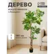 Искусственное дерево Акация в горшке 10526742 180 см