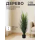 Искусственное дерево Пандаус 10697956 120 см