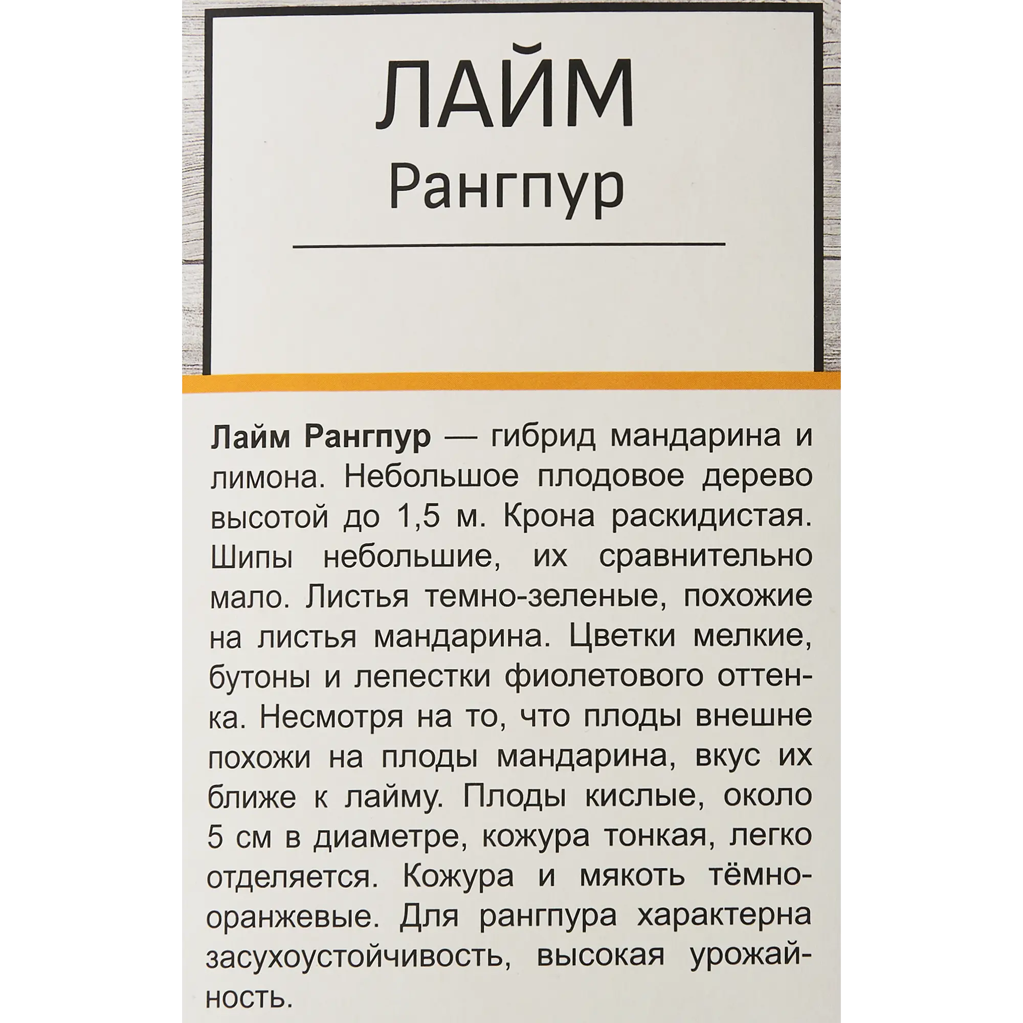 Цитрус Лайм Рангпур h40 см ️ купить по цене 1478 ₽/шт. в Наро-Фоминске ...