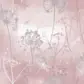 Цвет