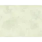 Цвет